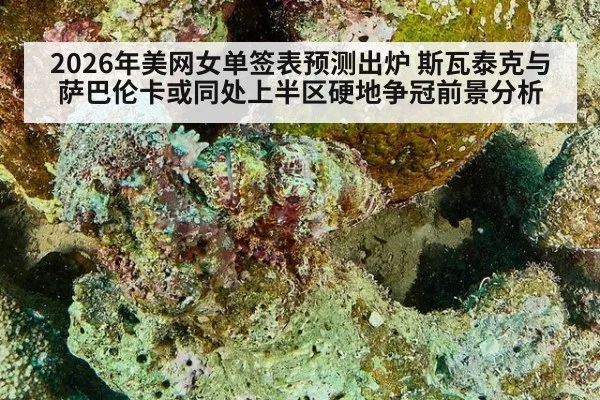 2026年美网女单签表预测出炉 斯瓦泰克与萨巴伦卡或同处上半区硬地争冠前景分析